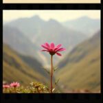 Bella Ciao (Reggae) (1)